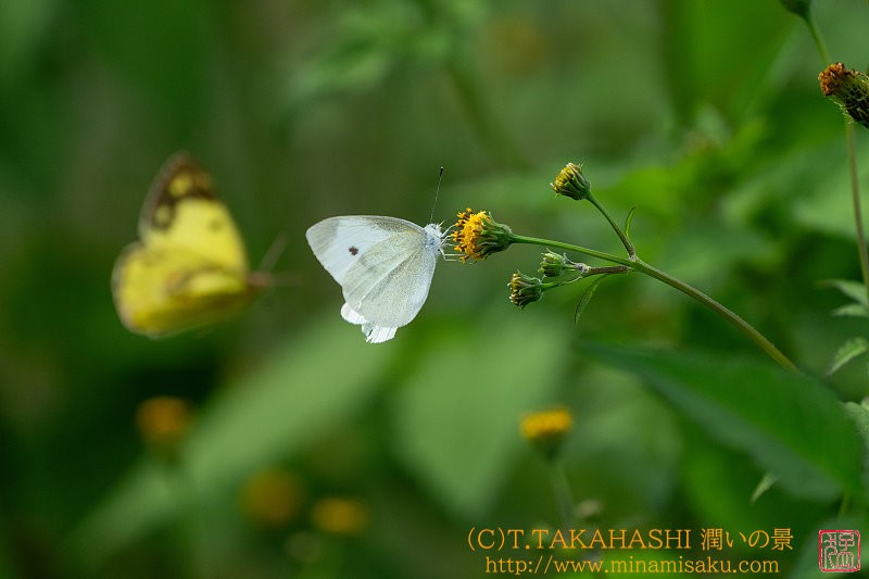 ../Images/7R241027 (173).jpg